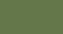 Color Fern green RAL 6025